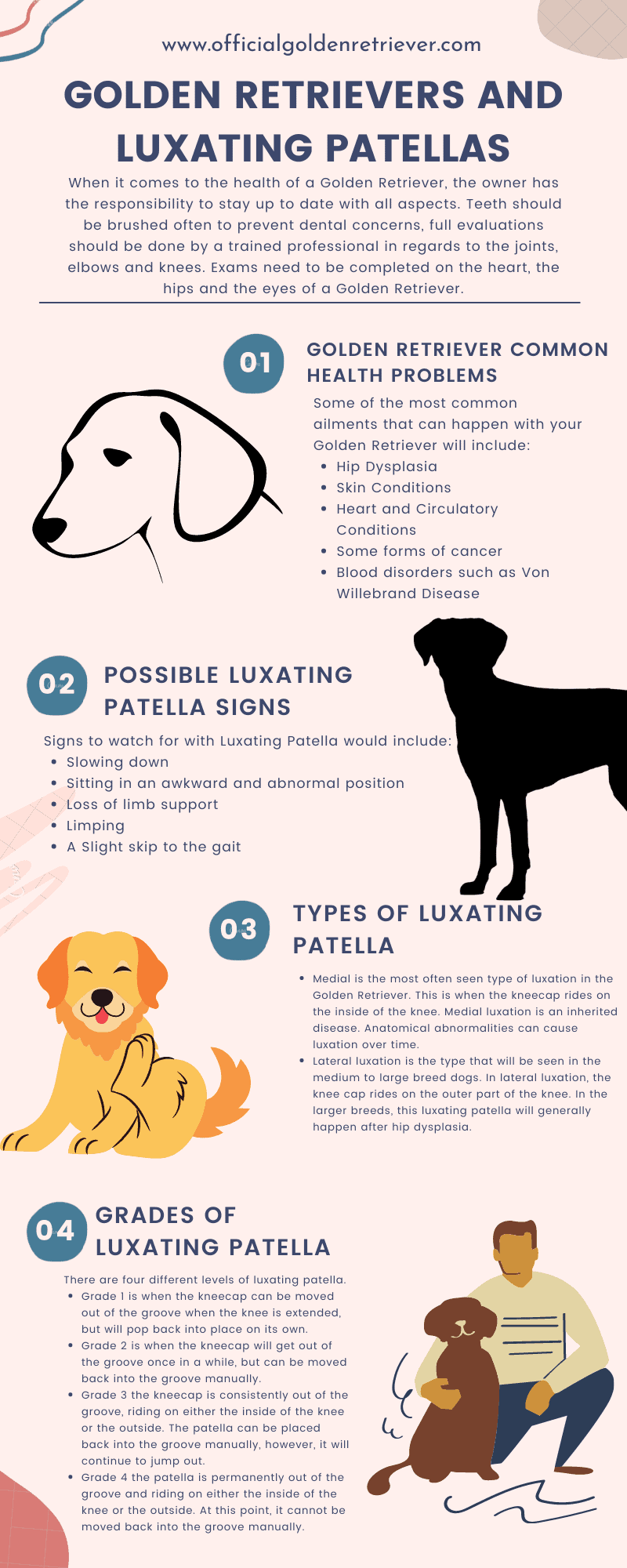 Golden Retrievers and Luxating Patellas - Official Golden Retriever